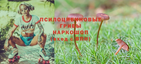 соль курить ск Алексеевка